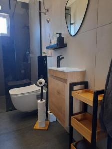 a bathroom with a toilet and a sink and a mirror at Island dream in Kali