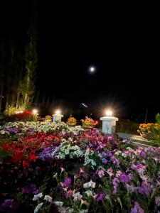 Ảnh trong thư viện ảnh của Morning Sky Homestay ở Leh