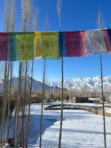 Ảnh trong thư viện ảnh của Morning Sky Homestay ở Leh