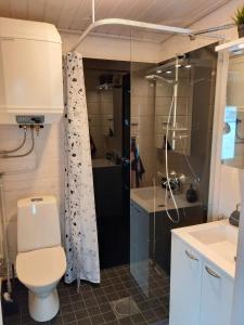 Koupelna v ubytování Im Land der Lappen Villa Pakatti + 9 fotografií