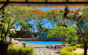 a swimming pool in a yard with trees and flowers at Villa au cœur de Pereybère in Pereybere +42 photos