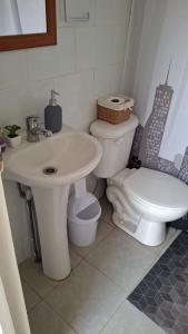 a bathroom with a white toilet and a sink at Mini dpto interior Río Maule in Talca