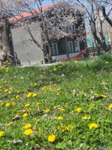 Giardino di Apricot & spring Resort Skardu