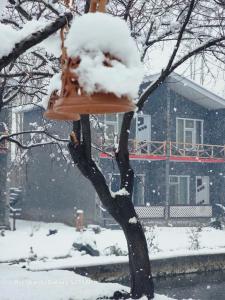 un idrante appeso ad un albero nella neve di Apricot & spring Resort Skardu a Skardu