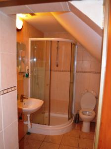 ein Bad mit einer Dusche, einem WC und einem Waschbecken in der Unterkunft Villa Silver Green in Žarnovica