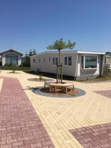 a building with a tree in the middle of a courtyard at Chalet G49 in Buren