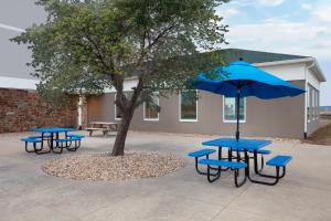 a group of picnic tables and a tree with a blue umbrella at Holiday Inn Express Pekin - Peoria Area by IHG in Pekin Heights
