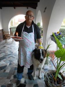 Domácí mazlíčci ubytovaní s hosty v ubytování Guest House Marketti