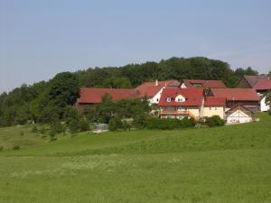 Gallery image of Ferienwohnung Kiesenberg 9 in Thanstein