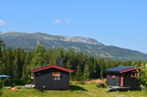 two small buildings in a field with mountains in the background at Trysil Hyttegrend in Trysil