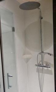 eine Dusche mit Glastür im Badezimmer in der Unterkunft Appartement Les marines du soleil in Patrimonio