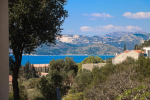 Blick auf den See von den Hügeln in der Unterkunft Apartment Macan in Cavtat