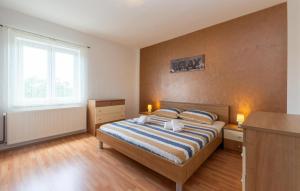 Posteľ alebo postele v izbe v ubytovaní Pet Friendly Home In Pridraga With Wifi