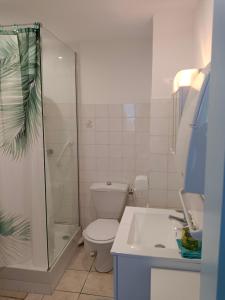 a bathroom with a shower and a toilet and a sink at christiane cere in Amélie-les-Bains-Palalda +45 photos
