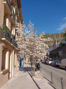 a tree on a sidewalk next to a street at christiane cere in Amélie-les-Bains-Palalda