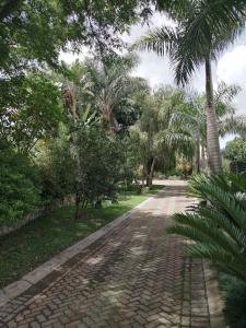 En have udenfor Musasa gardens