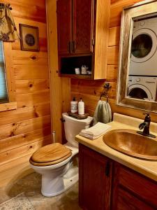 a bathroom with a toilet and a sink at Smoky Mountains Blue Ridge Cabin Tennessee in Maryville