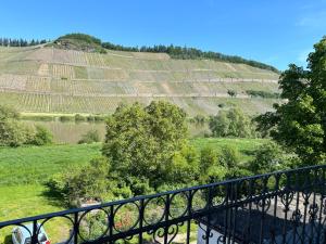 Winzervilla Kammerhof - 3x stilvolle & geräumige FeWos mit Moselblick, 2-12 Gäste buchbar, direkt am Moselradweg في برونبيبيرغ: اطلالة على مزارع العنب من شرفة المبنى