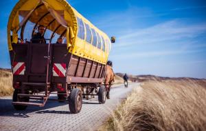 a horse drawn carriage on a road with a man riding a bike at Hotel Atlantic Juist in Juist