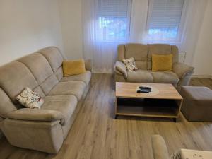 Billede fra billedgalleriet på Relje krilatice i Novi Pazar