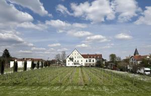 a vineyard with a white building in a field at WeinZeit13 Wohlfuehlen an der Weinstrasse mit Sauna in Neustadt an der Weinstraße