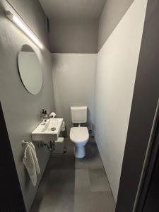 Un baño con inodoro, lavabo y espejo. en Great Location Airport Exhibition Center Downtown, en Düsseldorf