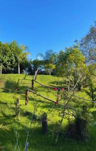 Gallery image of Recanto Cheio de Cheiro in Guararema