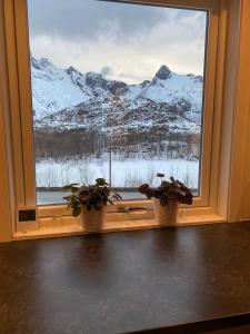 two potted plants on a window sill with a mountain view at House in Vågan in Hopen