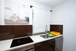 Kuchyň nebo kuchyňský kout v ubytování Apartman Francesca + 37 fotografií