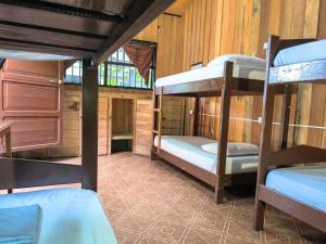- une chambre avec 3 lits superposés dans une maison dans l'établissement Hostel Casa de las Palmas Tours, à Leticia