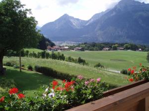 a view of a valley with mountains and flowers at Pension Haidachhof in Reith im Alpbachtal