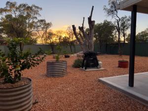 The Miners Cottage On Nettleton Lightning Ridge外面的花园