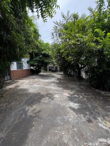 an empty road with trees and a building at Hostel Dourado in Barra do Garças