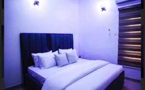 Postel nebo postele na pokoji v ubytování Lekki Lagos Apartment