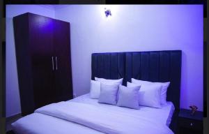 Postel nebo postele na pokoji v ubytování Lekki Lagos Apartment
