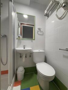 a bathroom with a toilet and a sink at Pensión Santa Clara in Donostia-San Sebastián
