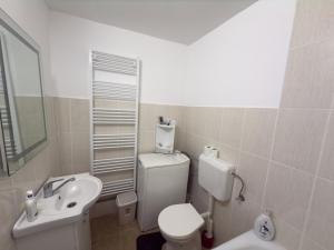 a bathroom with a white toilet and a sink at Nóra's House in Brîncoveneşti