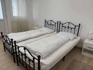 two twin beds in a room with at Nóra's House in Brîncoveneşti
