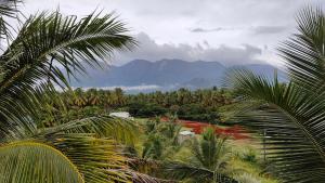 a view of a jungle with mountains and palm trees at KV Farm house in Malaiyāndipattanam