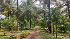 a dirt road in front of a bunch of palm trees at KV Farm house in Malaiyāndipattanam +8 photos