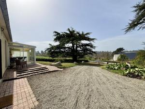 a gravel driveway leading to a house with a tree at la maison du bord de mer in Penvénan