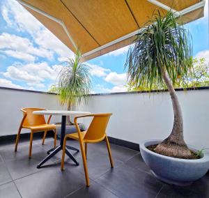a patio with chairs and a table and palm trees at Hotel Park 85 in Cali