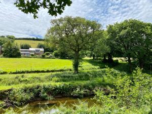 a field of grass with trees and a river at Riverside barn on private wildlife estate in Washaway