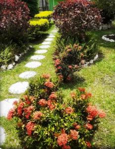 Un jardín fuera de Essentials Suite