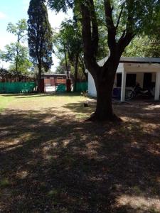 a tree in a yard next to a building at Arroyo seco playa hermosa in Arroyo Seco