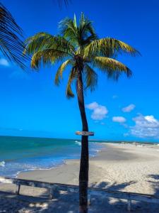 伊洛卡Iloca Ranch的海滩上的棕榈树与大海