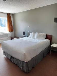 zero-100 motel客房内的一张或多张床位
