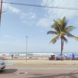 a palm tree on a beach with the ocean at Apartamento Confortável a 350m da Praia dos Sonhos Itanhaém in Itanhaém