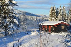 特吕西尔特吕西尔黑特格兰德山林小屋的雪上的小小屋,有树