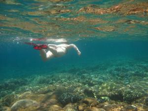 una persona che nuota nell'oceano sopra una barriera corallina di Pondok Siola a Labuhanpandan